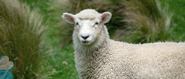 ternua-group-lana-aislante